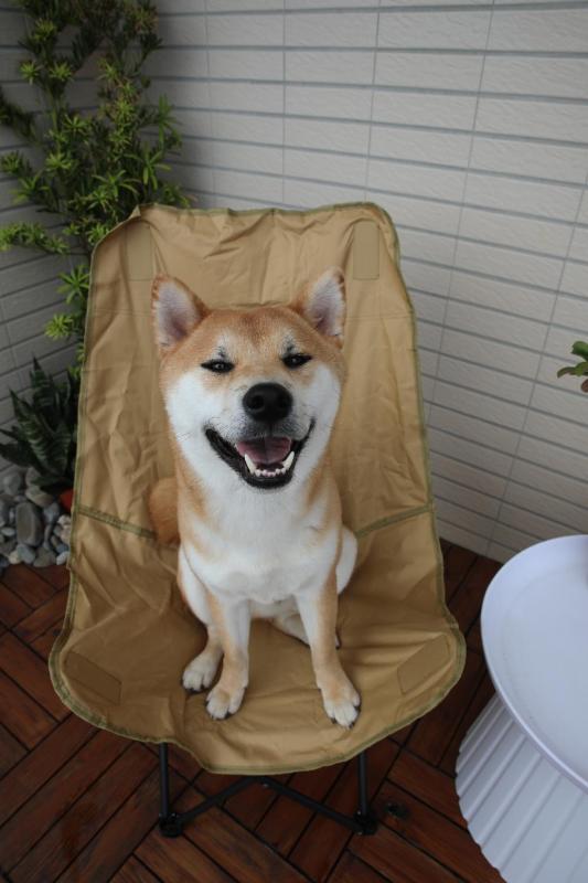 Hiyou Homestay - image 13