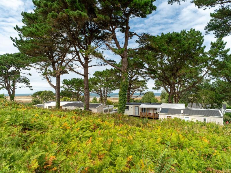 Standard Mobile Home with Sea View (4 Adults) image 4