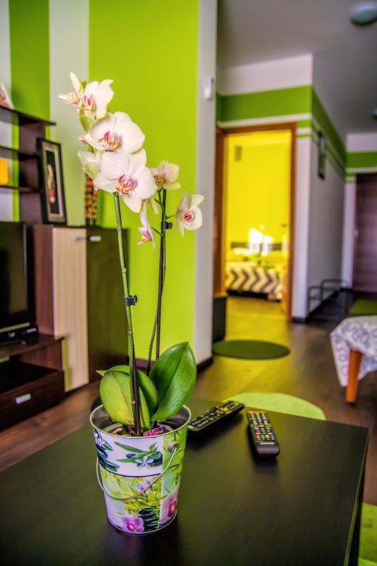One-Bedroom Apartment image 4