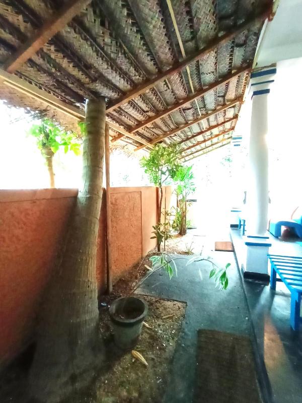 Ocean Giants Villa - image 6