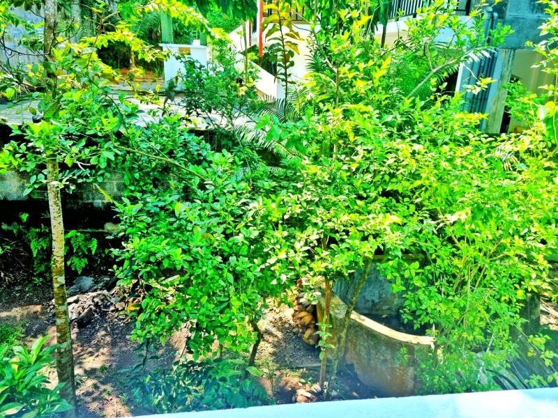 Stylish Escape House-Walk to Beach Vacation Rental Hikkaduwa - image 43