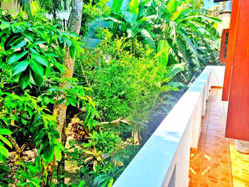Stylish Escape House-Walk to Beach Vacation Rental Hikkaduwa - image 40