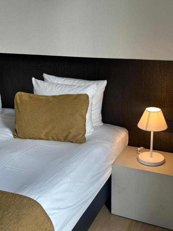 Deluxe Double Room with Garden View image 3