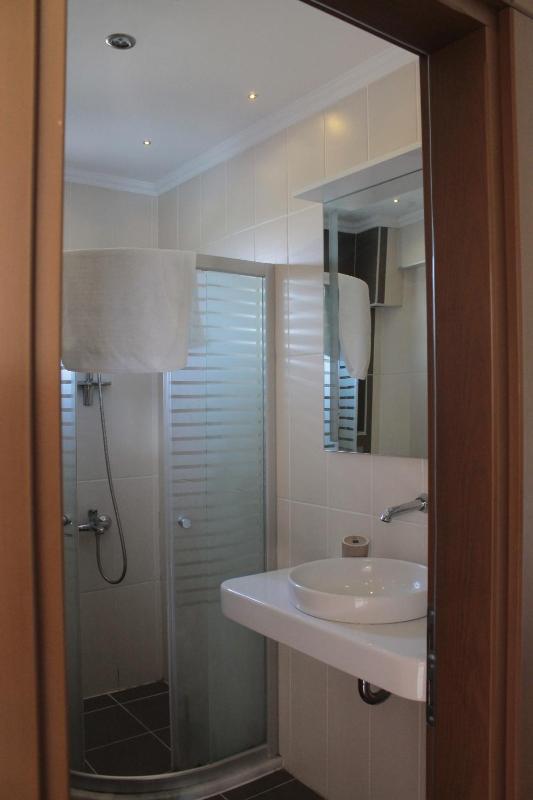 Double or Twin Room image 4