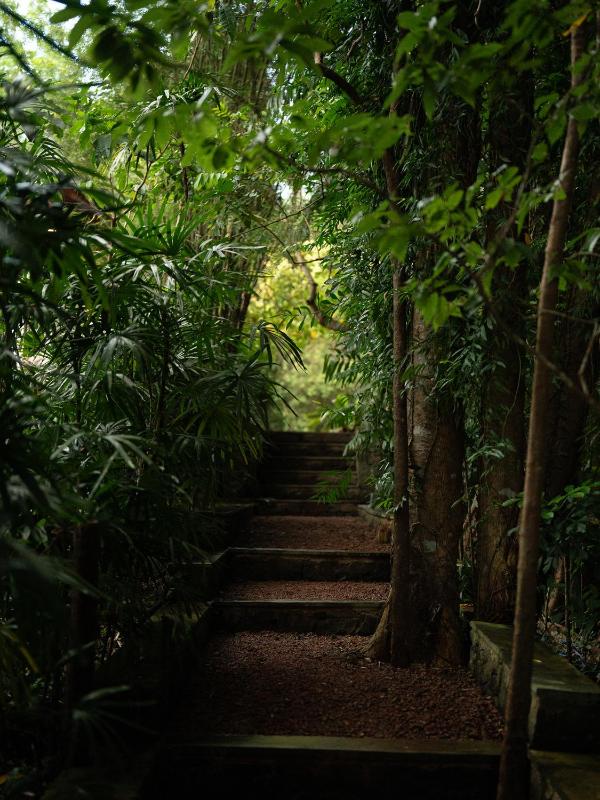 The Lush - Luxury Villa - image 19