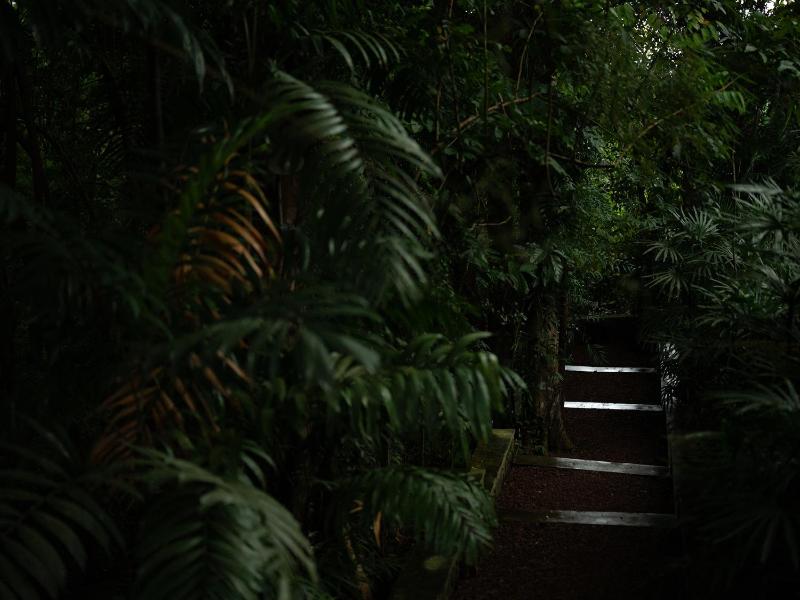 The Lush - Luxury Villa - image 32