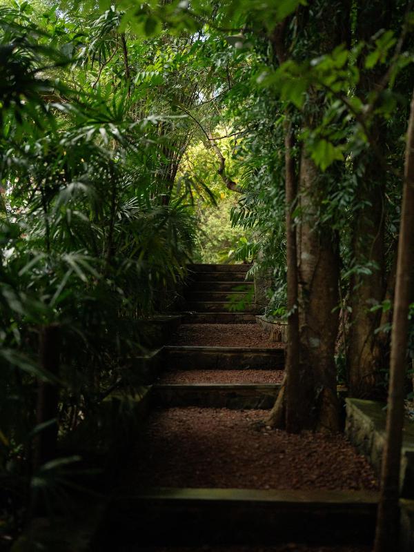 The Lush - Luxury Villa - image 23