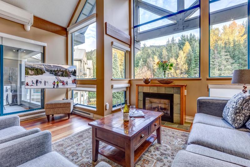 Greystone Lodge 408 Luxury - image 12
