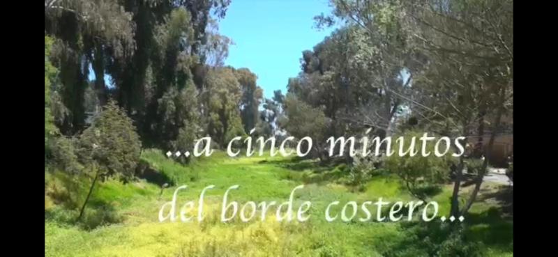 Depto hermoso - image 7