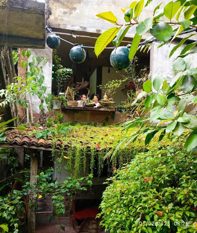 SD3M ART GALLERY Villa - image 11