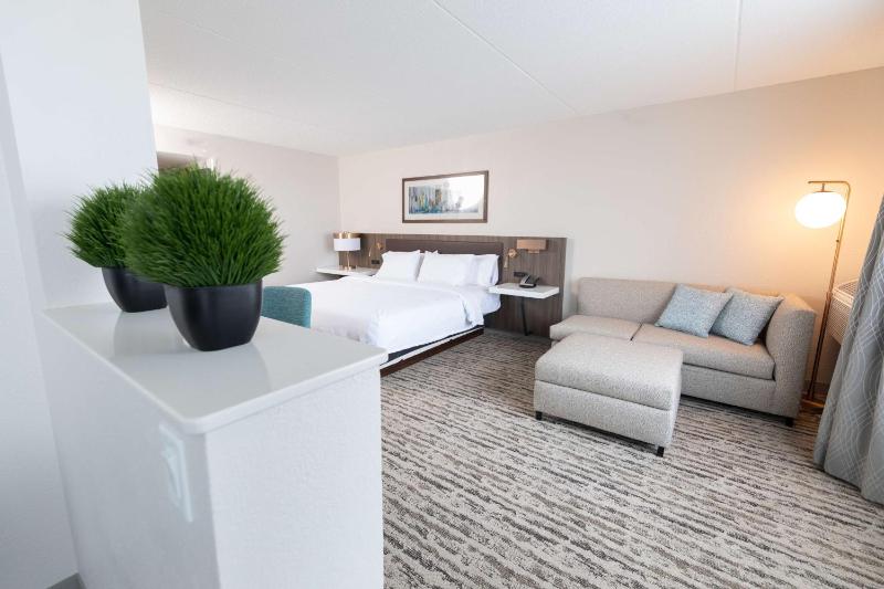 King Suite with Wet Bar image 2