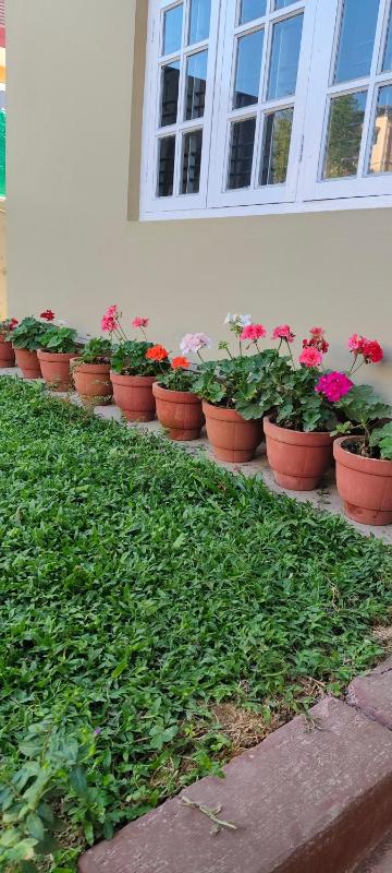 Moon Glade Cottage Homestay Coorg Madikeri - image 7