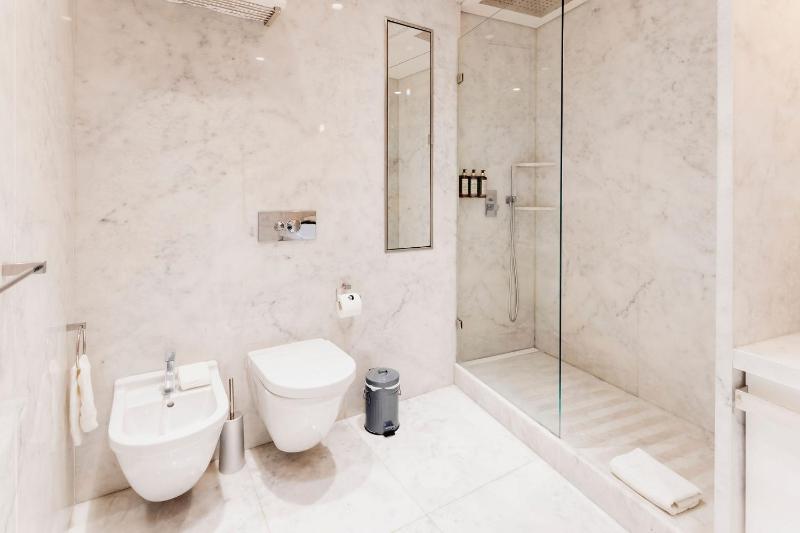 One-Bedroom Apartment image 4