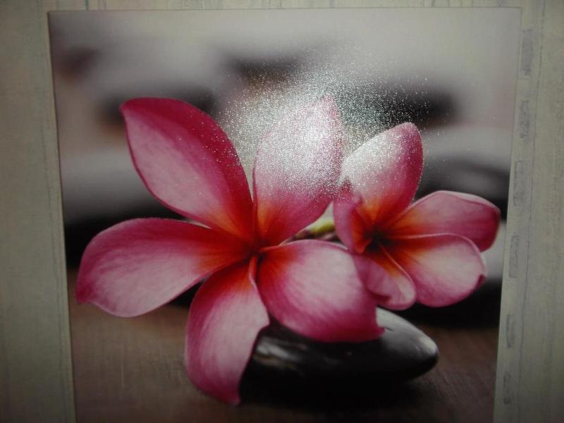 Standard Studio image 1