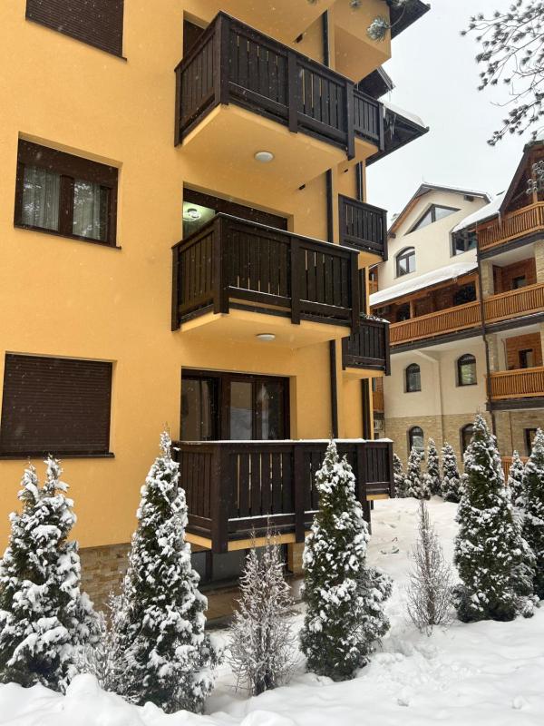 Apartment Mountain Dreams - image 9