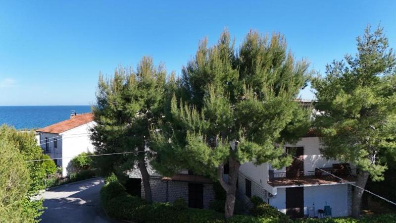 M080 - Marcelli residence Mare Verde trilo con giardino - image 22