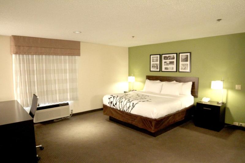 King Room - Non-Smoking image 1