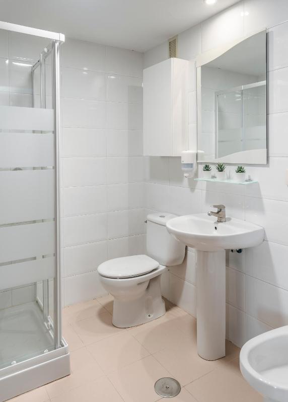 One-Bedroom Apartment  image 3