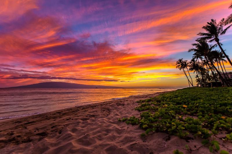 Best Studio Ocean Views at Honua Kai - Soak In Maui Sunsets on This Expansive Lanai -Hokulani 719 - image 48