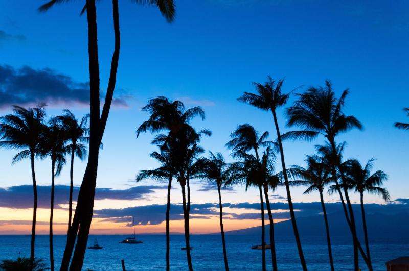 Best Studio Ocean Views at Honua Kai - Soak In Maui Sunsets on This Expansive Lanai -Hokulani 719 - image 13