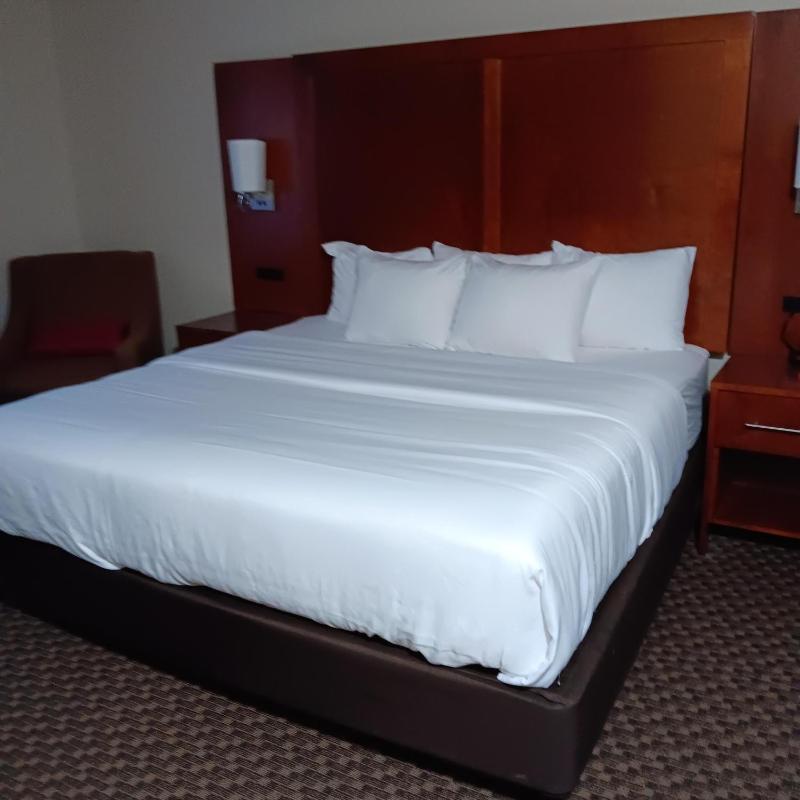 Superior King Room - Non-Smoking image 3