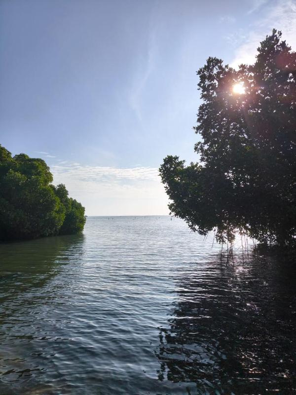 Lake & Ocean Villa ahangama - image 3