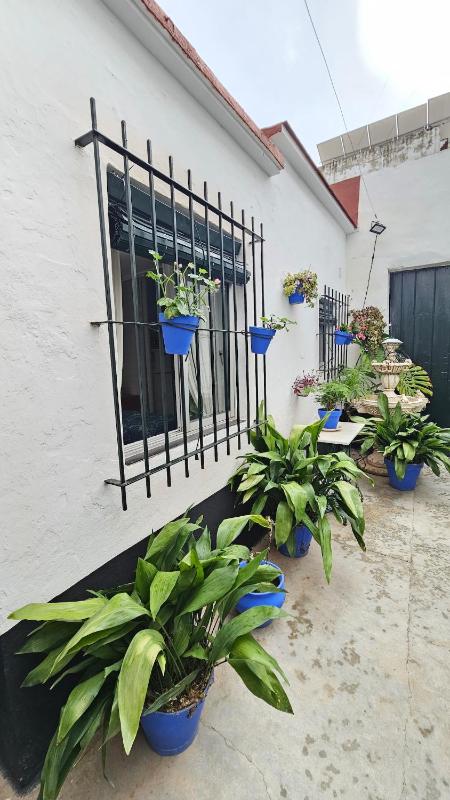 Casa de la Abuela Rosario - image 11