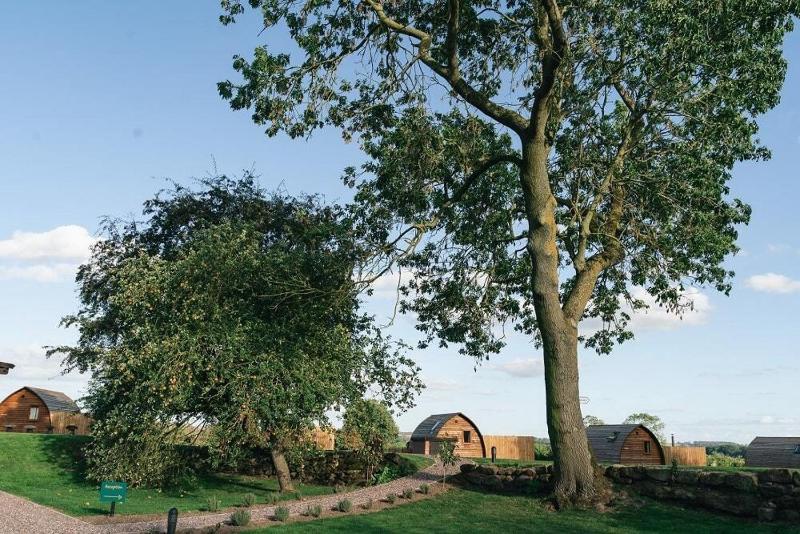 Saxon Meadow by Wigwam Holidays - image 25