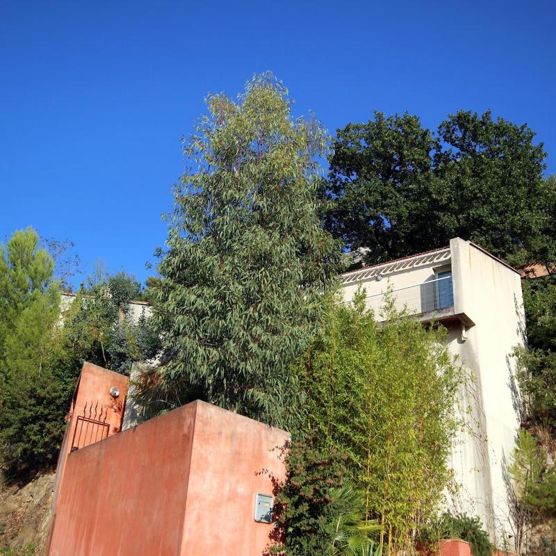 Villa Sainte-Claire maison avec studio - image 2