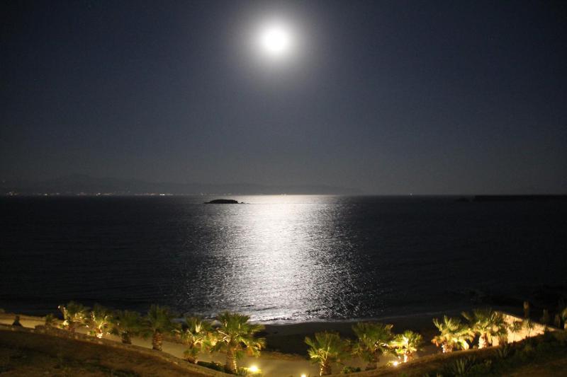 Paros Blue Dolphin FULLY RENOVATED by RIVEA GROUP - image 34