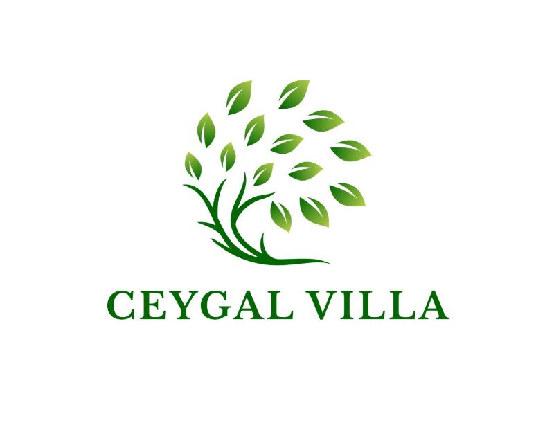 Ceygal Villa Galle - image 6