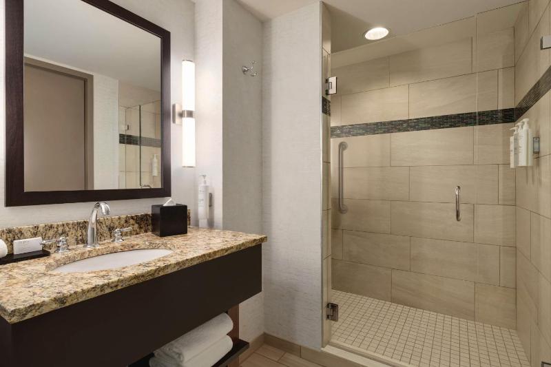 King Studio Suite image 2