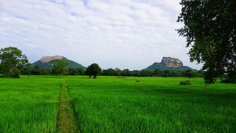 Golden Rock Retreat Sigiriya - image 9