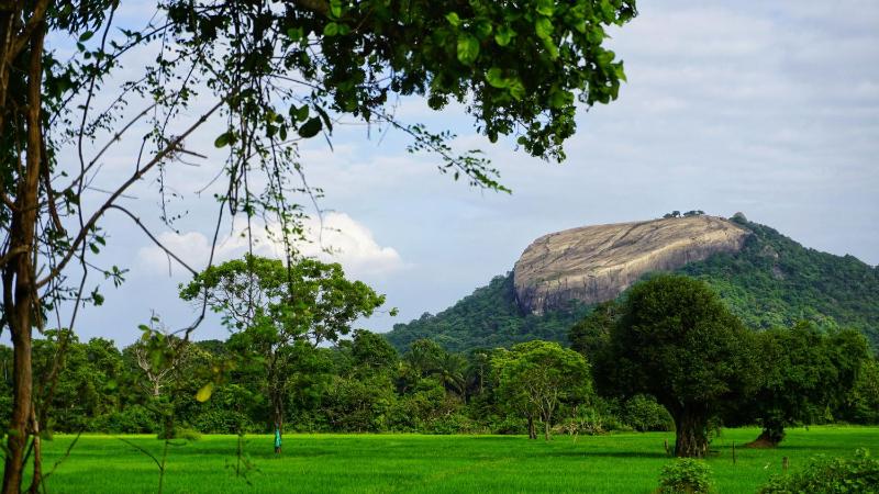 Golden Rock Retreat Sigiriya - image 11