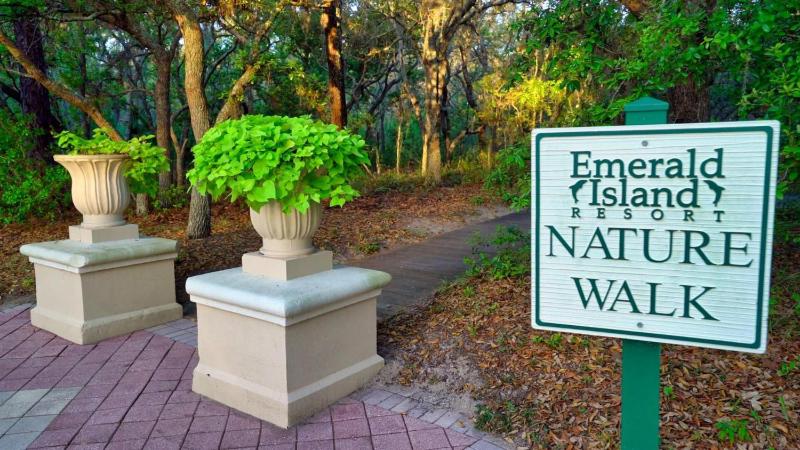Orlando 6424 Townhome: Family Fun Close to Disney - image 4
