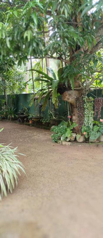 Anu villa Bentota - image 14