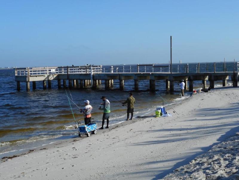 Shell Island Beach Club - image 7