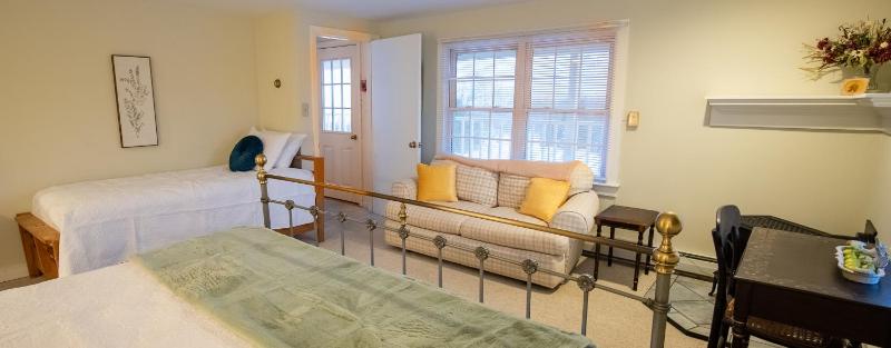 Deluxe King Suite image 3