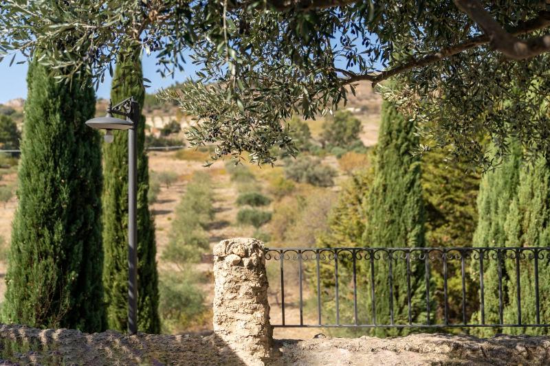 Roba Degli Ulivi - image 36