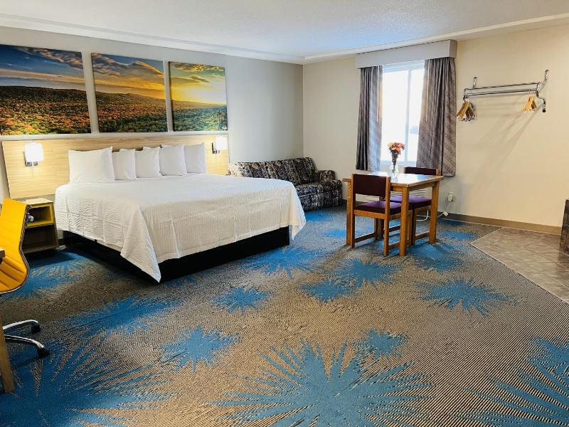 Deluxe King Suite image 3