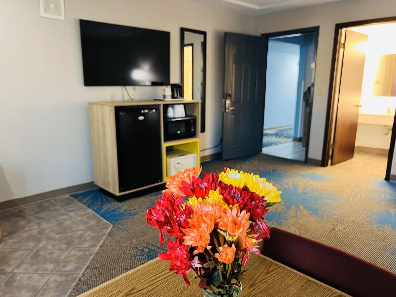 Deluxe King Suite image 4