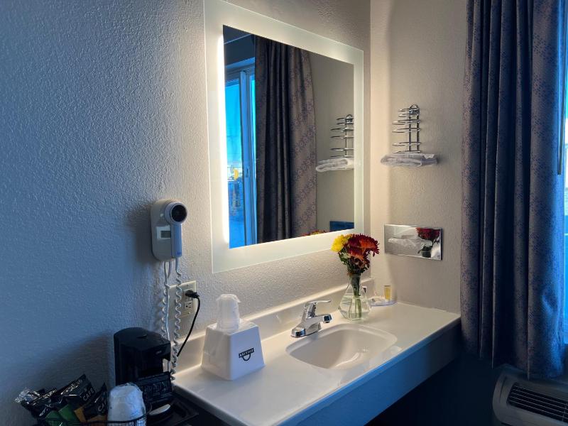 Deluxe King Suite image 4