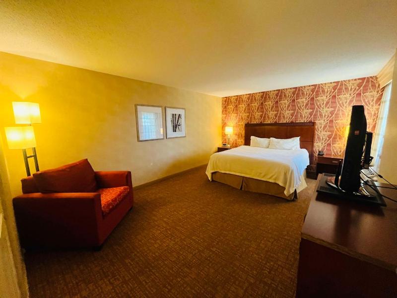 1 Bedroom Suite with 1 King Bed image 4