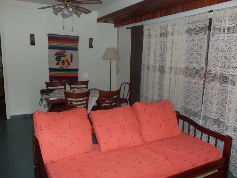 Nice apartment 100 meters away from Playa Brava - image 16