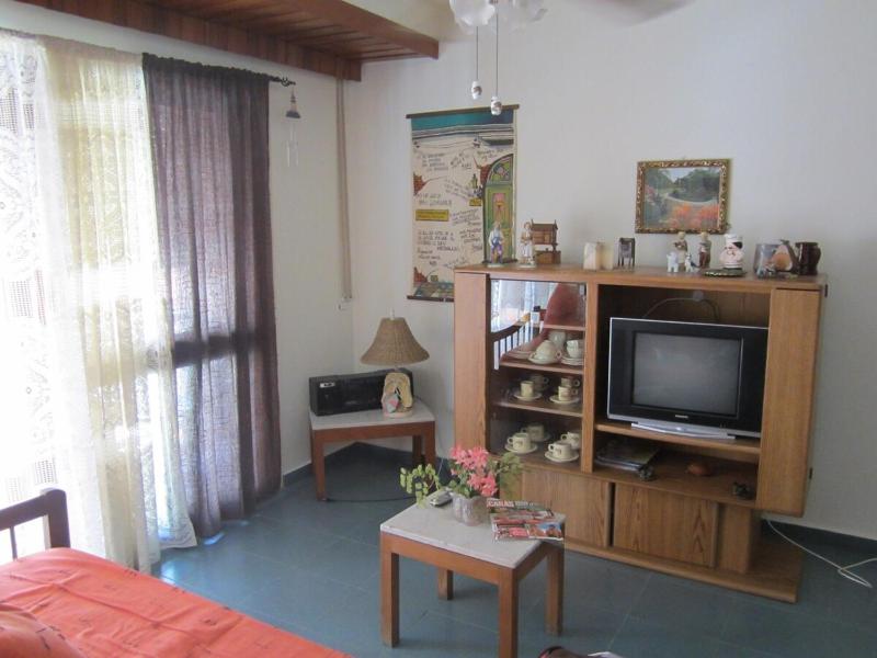 Nice apartment 100 meters away from Playa Brava - image 12