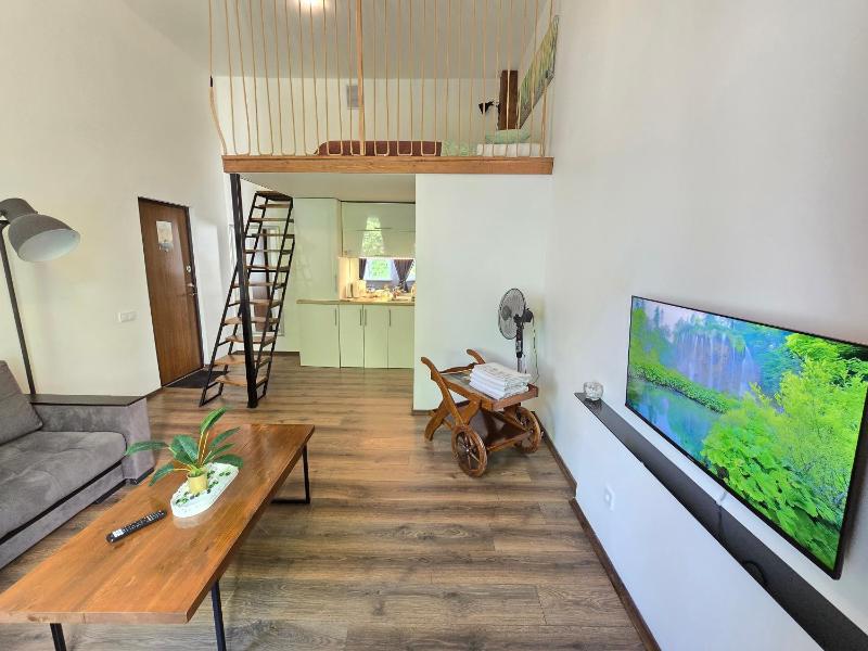 Z6 Loft Apartment - image 2