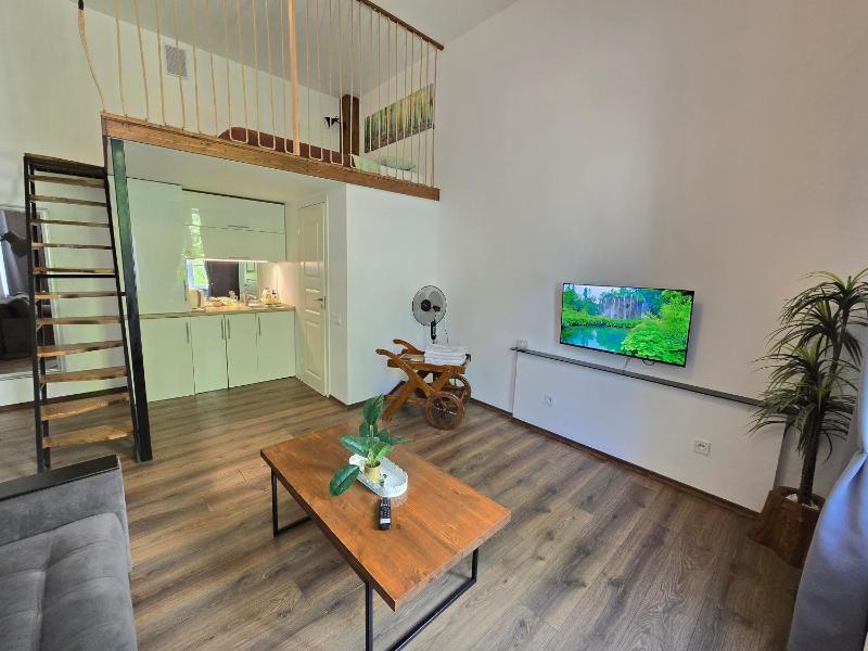 Z6 Loft Apartment - image 7