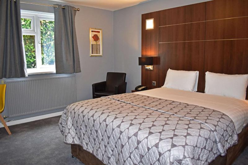 King Room image 1