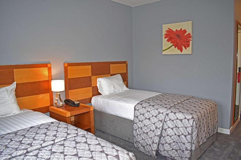 Standard Twin Room image 3
