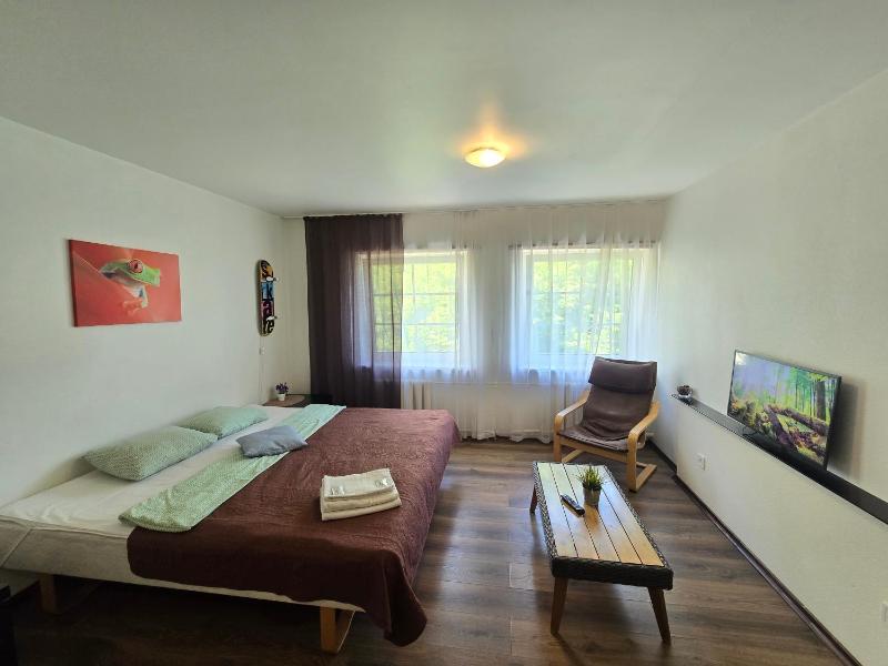 Z14 River studio apartment - image 12